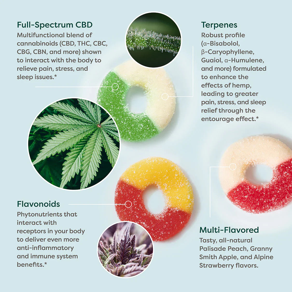 R&R Medicinals Full Spectrum CBD Gummies 30 Count